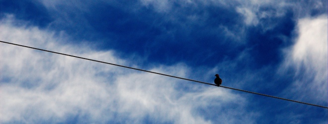 How to turn the Twitter website into the ultimate client