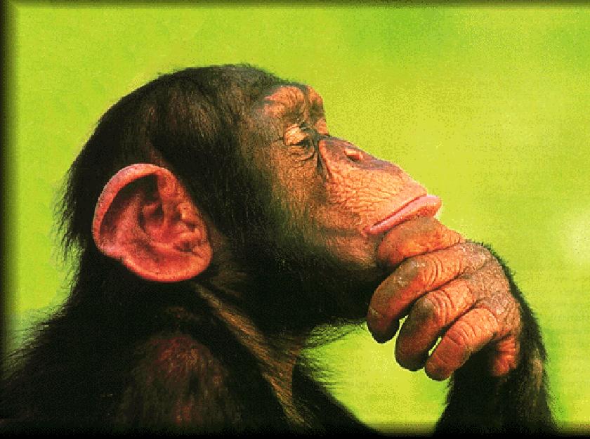 How the rise of social is forcing SEO to evolve