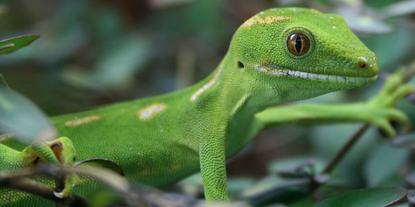 Mozilla is building a mobile OS to take on Android’s faux-openness