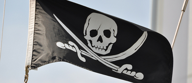 How the Pirate Party aims to shake up digital politics