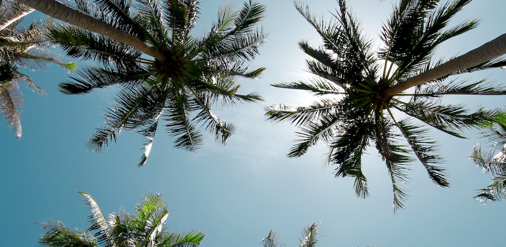 An investor stands up: Kinvey now set to power the next generation of mobile apps