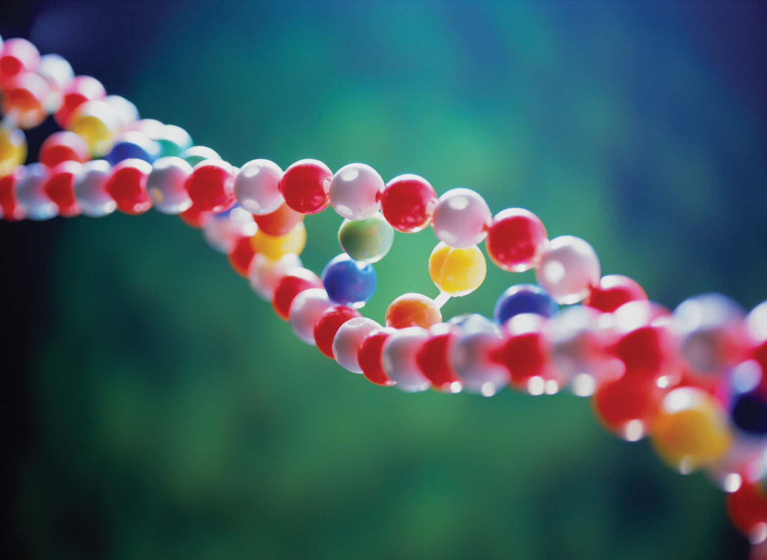 Identity crisis: Will genetic alterations modify human society?