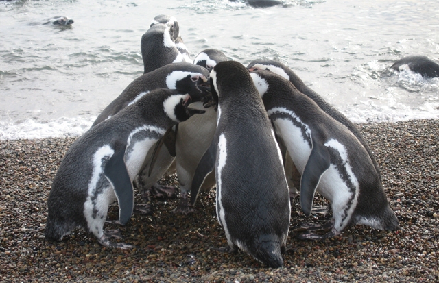 8 tips for running an effective group Twitter chat or debate