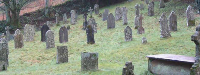 Waiting for the demise of Google+? Don’t hold your breath