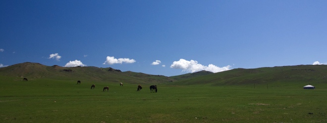 The touching moment when a Mongolian family sees their photographs for the first time