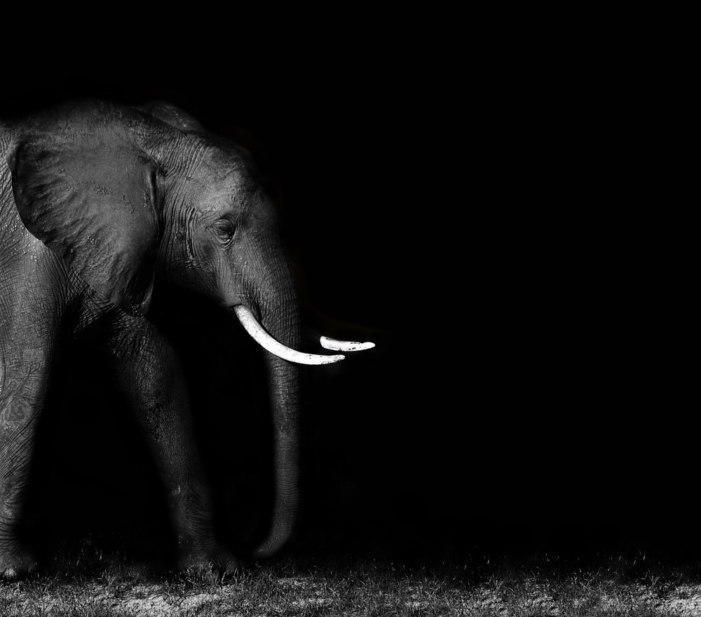 The Future of Evernote: From memory machine to time machine