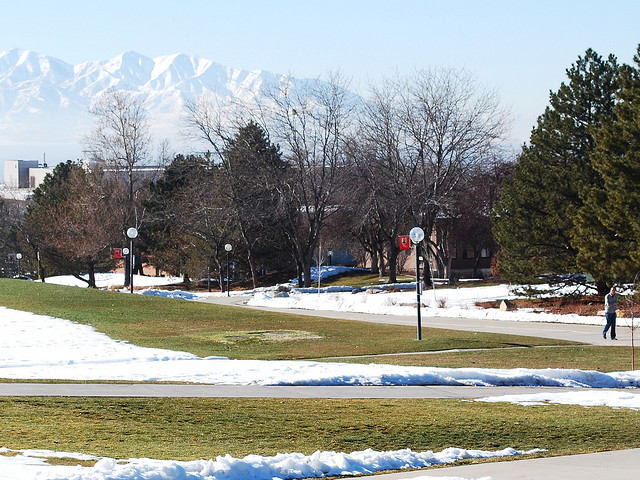 The #1 University in the U.S. for spinning off startups may surprise you