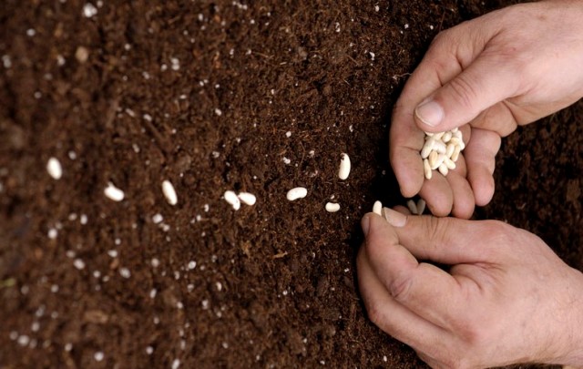 Fail fast: How startups can learn from their mistakes