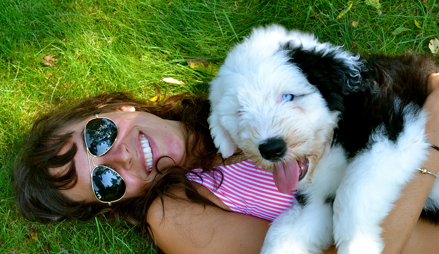 BarkBox launches a monthly subscription service for dog lovers