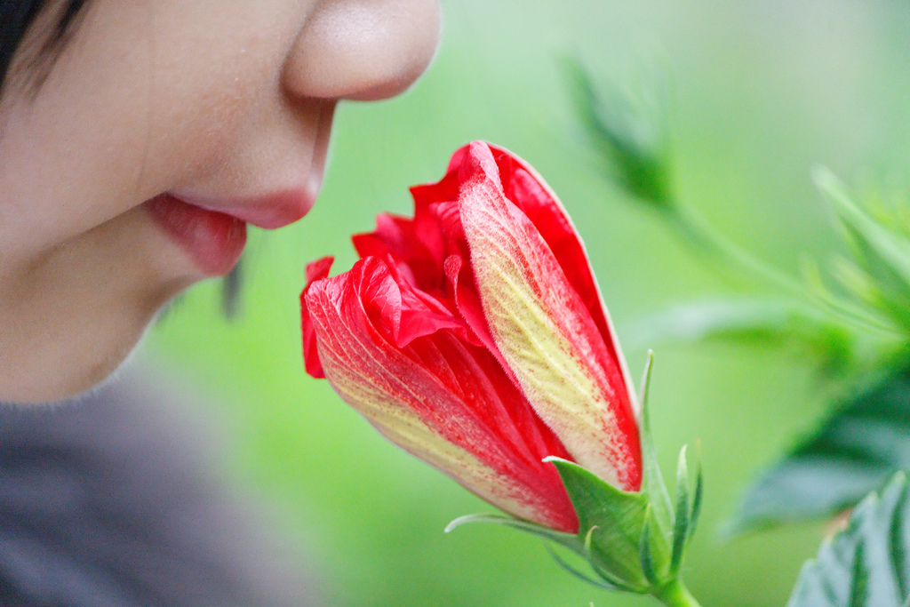 These glasses could become your personal smell and sound calling card