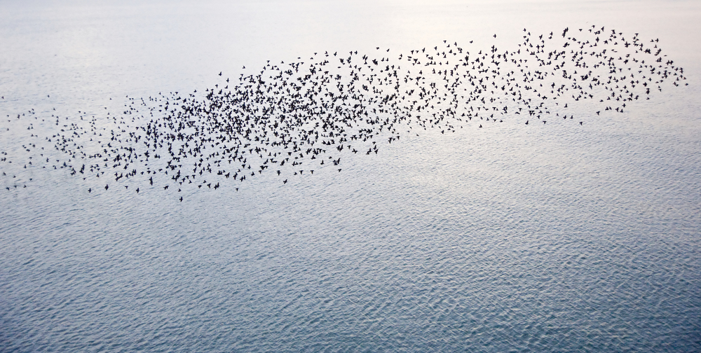 The new Twitter is all about simplicity, discovery and usability