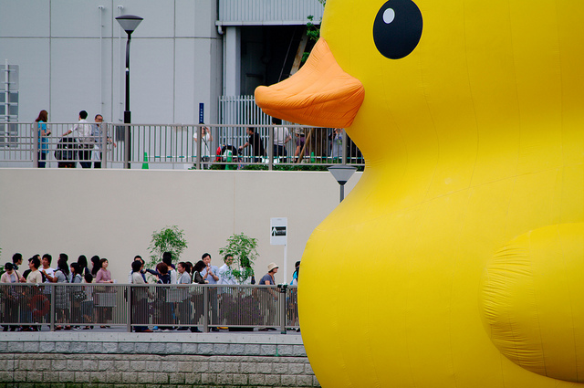 We bet you don’t know who owns Duck.com and what it redirects to
