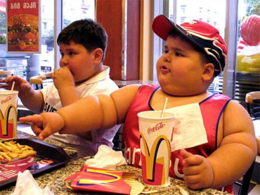 fat-kits-eating-mcdonalds