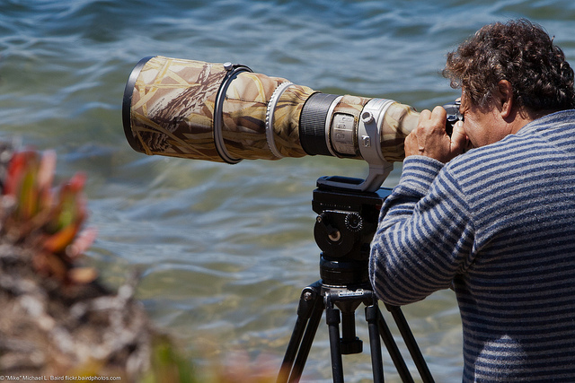 Google+ photographers collaborate on book called ‘Plus One Collection’ for charity