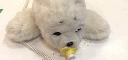 Fluffy robotic seals are helping to ease the pain of tsunami survivors in Japan