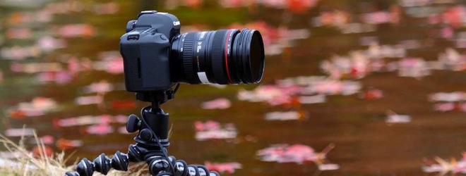 Photo sharing site Floggia introduces followable trending topics