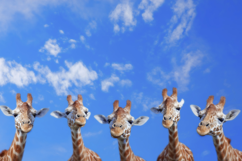 5 new ways to monetize your content in 2012