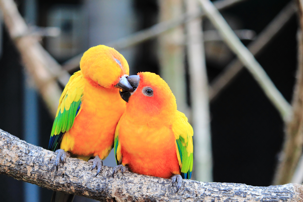 Valentine’s Day inspiration, gift ideas and more! Love, The Next Web