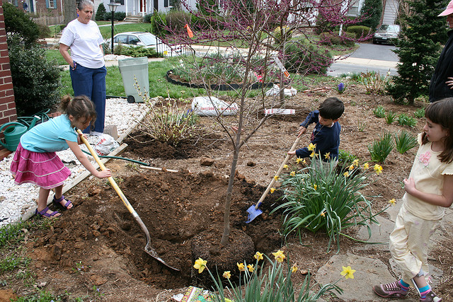 Nokia to help make Austin greener with its #ijustplantedatree campaign at SXSW