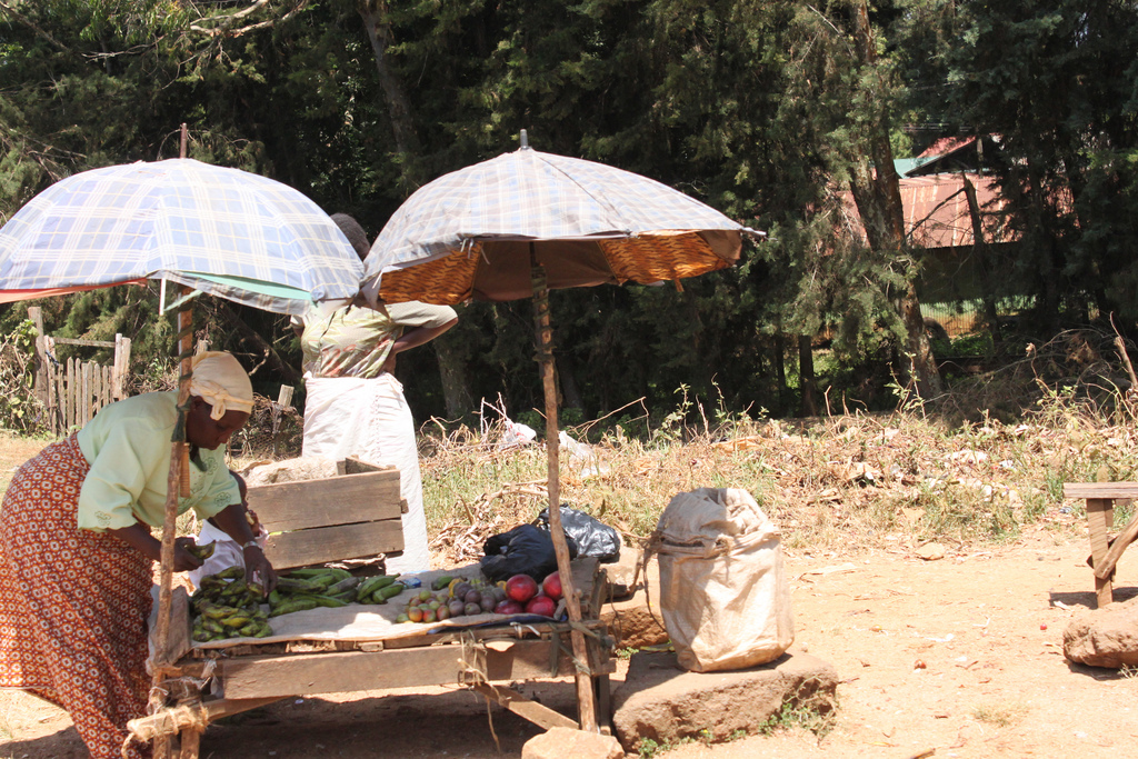 How Sharing Platforms Empower the Agricultural Industry