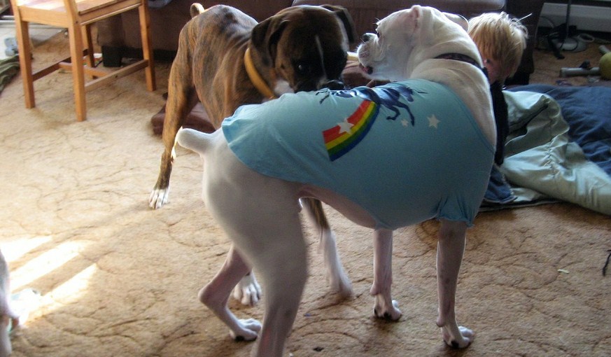 Manpacks, American Apparel, and startup arbitrage