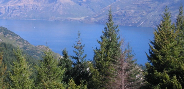 National Geographic launches ‘National Parks’ iOS app, guides to 20 of the US’s most ...