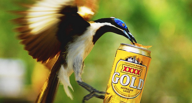 Chirpify raises $1.3M from Hootsuite, Facebook vets to build Twitter platform for digital commerce