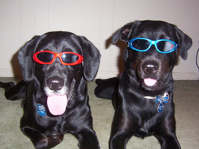 Gmail automatic message translation comes out of Labs, Mail Goggles not so lucky