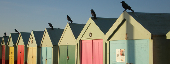 TripAdvisor releases trend data with a good report for UK accommodation