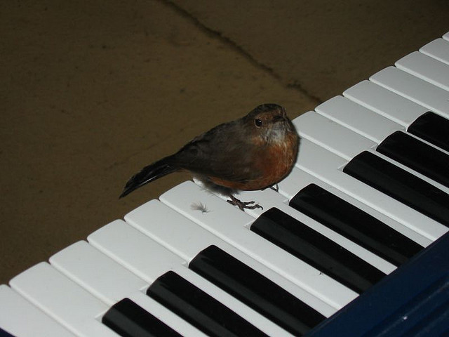 The Internet…sorry…Twitter, is currently down (UPDATE: up, down, now up)
