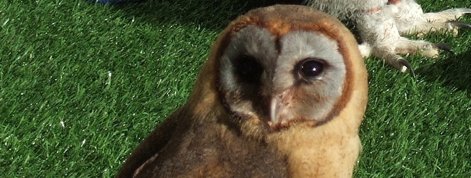 HootSuite adds Instagram, SlideShare and more to its App Directory