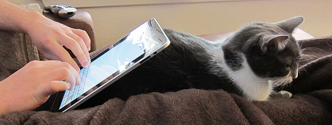 Online Publisher’s Association survey paints a portrait of the US tablet user
