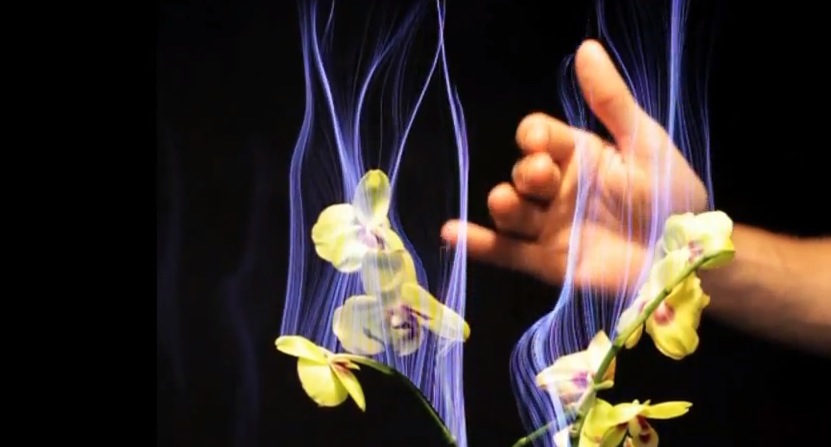 Incredible: Disney just figured out how to make any plant into a multi-touch sensor