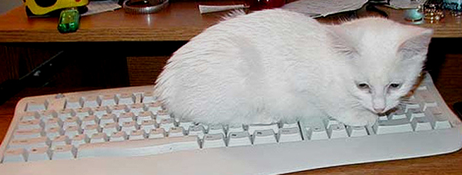 UK young workers’ unused digital skills estimated to be worth £6.7 billion