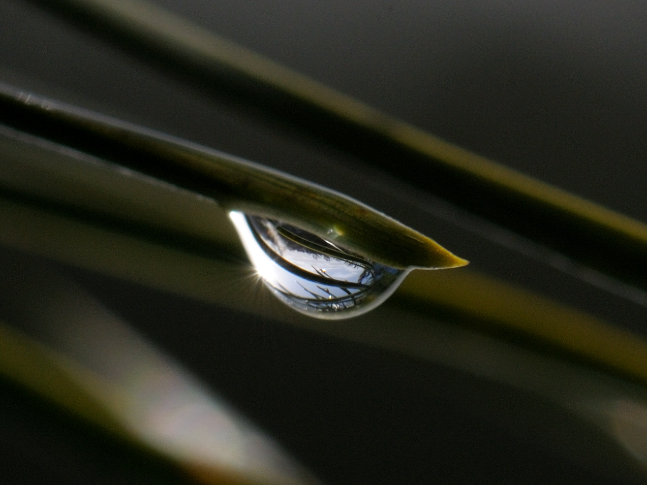 Tweet Marker Plus reborn as Watermark with App.net support in move away from Twitter