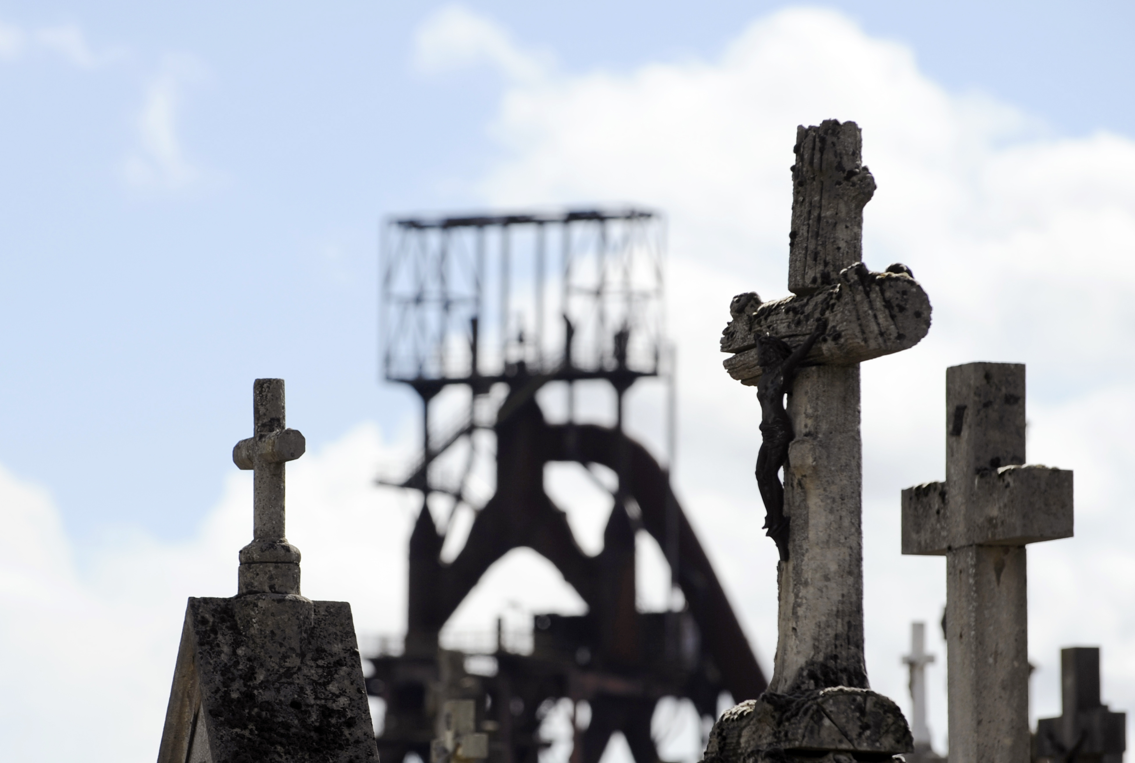 Why Startups Die
