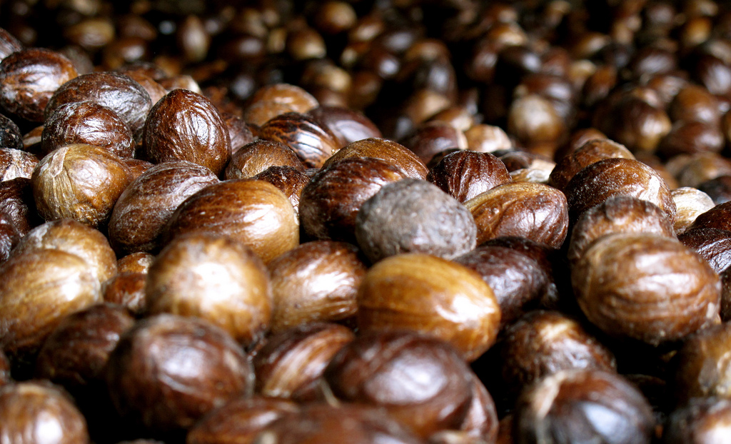 Nutmeg launches to help people with regular incomes manage their investments