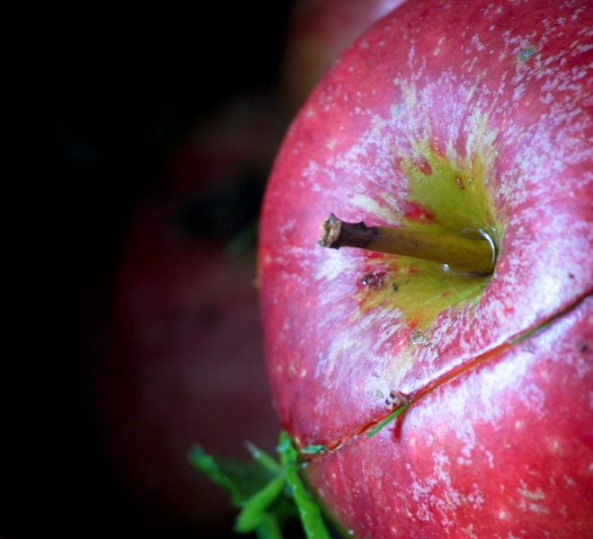 Apple co-founder Steve Wozniak gives jailbreaking the thumbs up, wishes iTunes supported Android