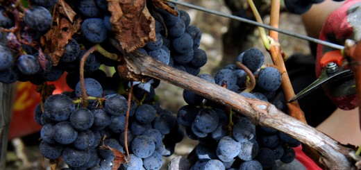 Newsgrape blends Reddit and Google News-style features for the ultimate social news stream
