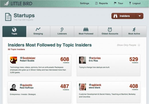 LittleBird screenshot of influencer report