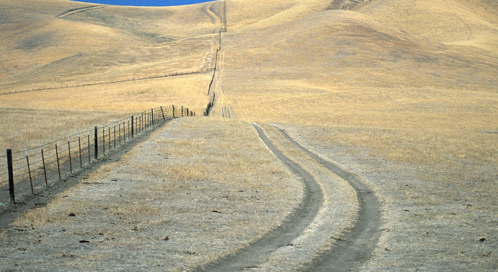 Tracks launches version 2.0 of its social photo app with new content-surfacing features, hits Android ...
