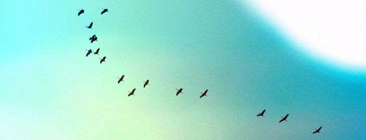 Twitter flies East, signs up Facebook partner Komli to lead advertising sales in Southeast Asia