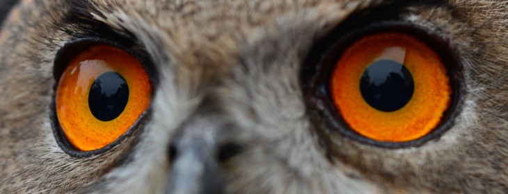 HootSuite rolls out new dashboard features to help businesses target specific Facebook users