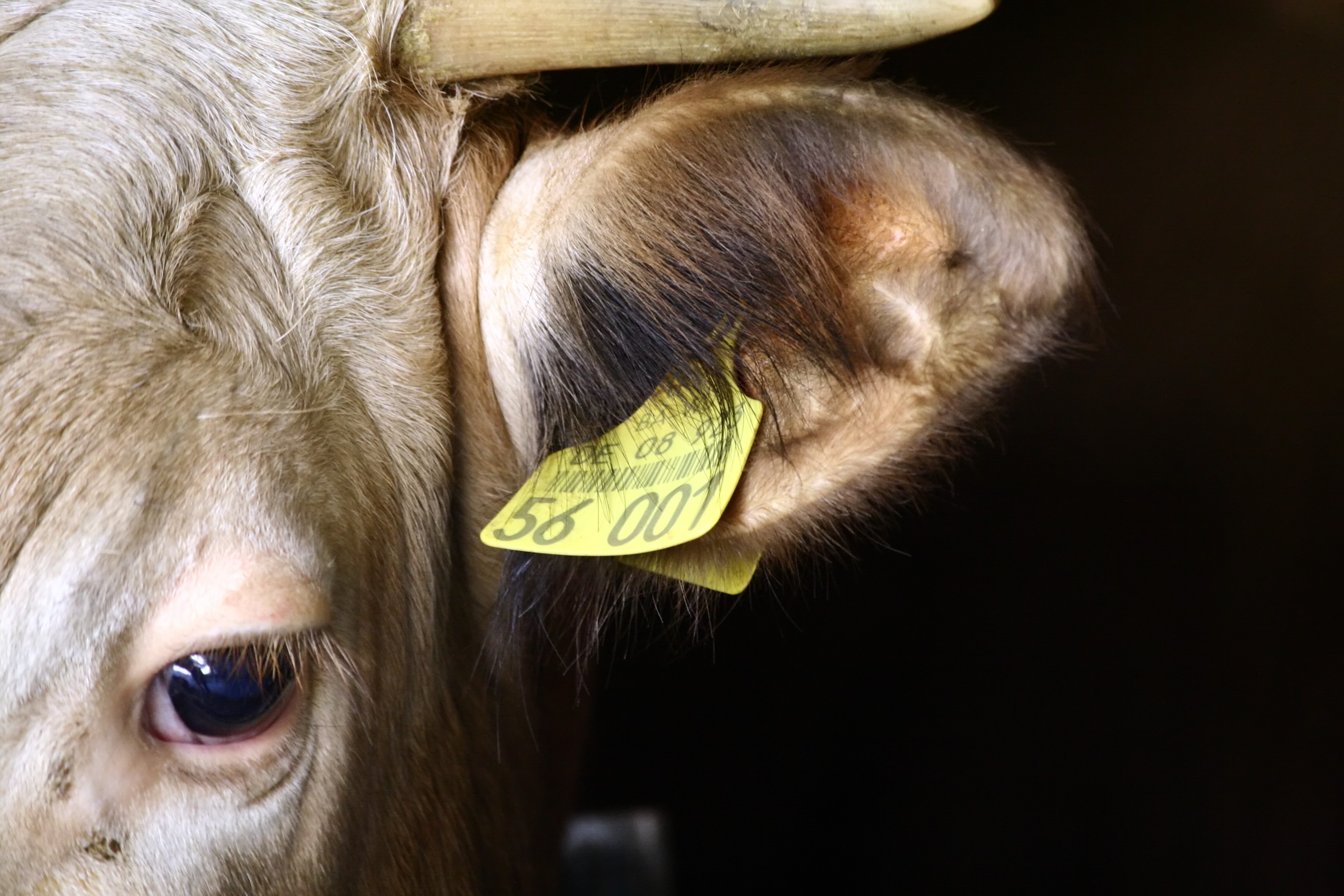 New Year Resolution: Startups, improve your branding! Featured Image