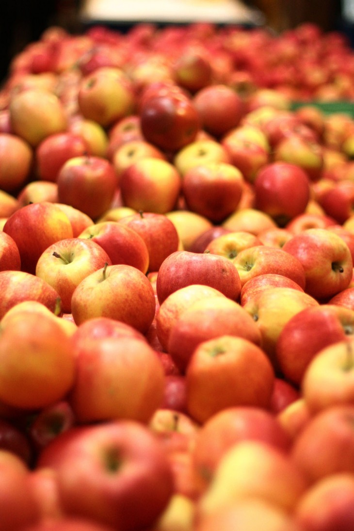 Type ‘sell’ into Google Finance and you’ll get Apple’s stock price (Update: Google ...