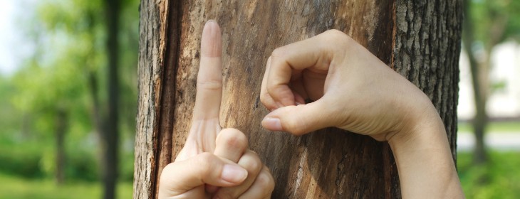 10 types of startup that had a breakthrough 2012