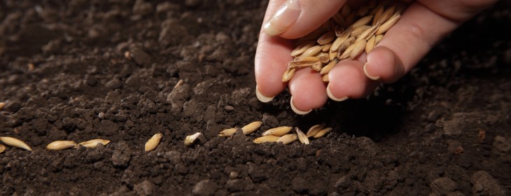 After 5,000 applications and 80 investments, Seedcamp adds extra funding tiers, doubles down on Berlin ...