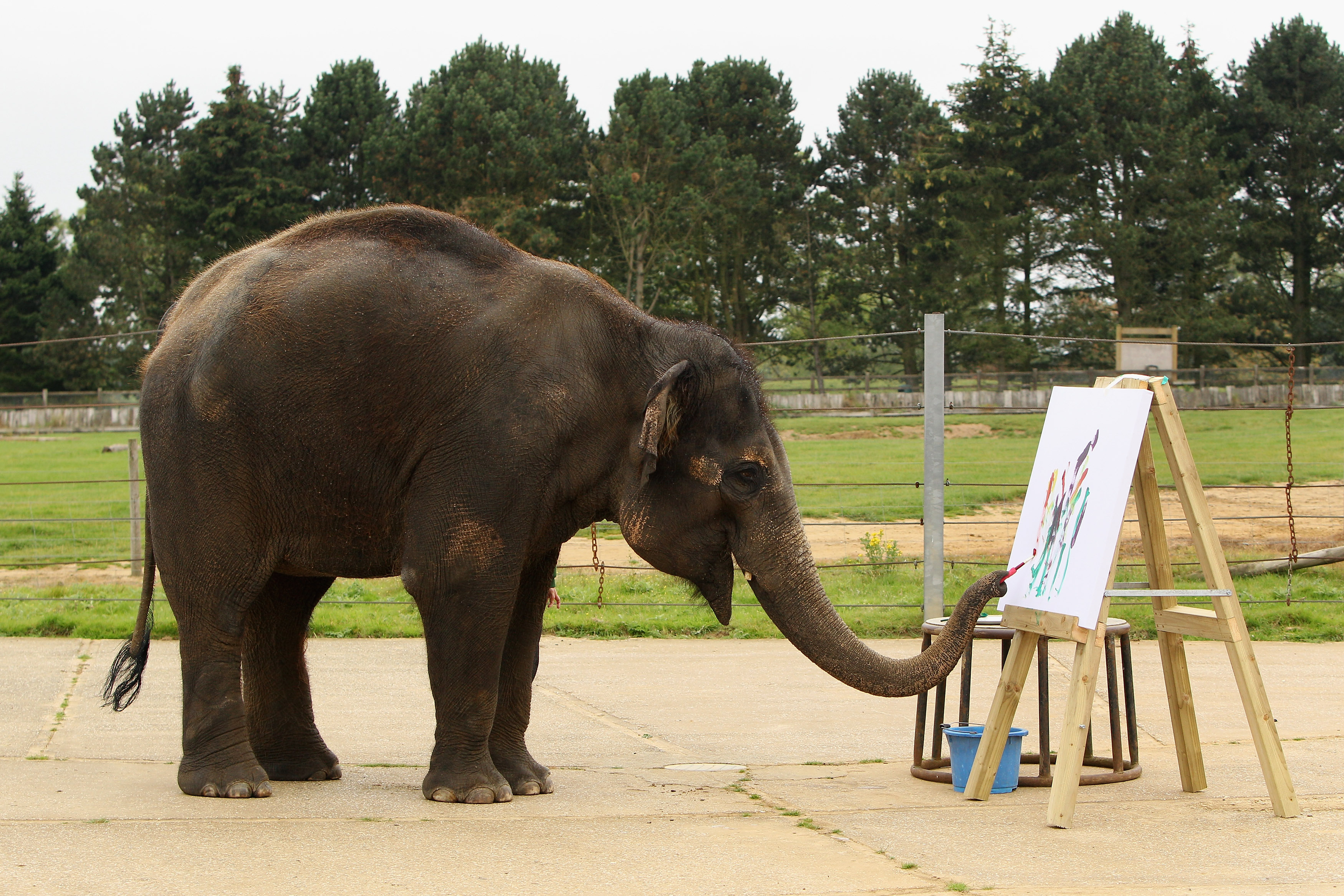 Evernote launches its business platform in China, as local Yinxiang Biji service crosses 4m users Featured Image