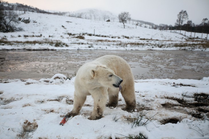 Polar raises $1.2M and updates its iOS app with better topic and tag discovery, friending, and more
