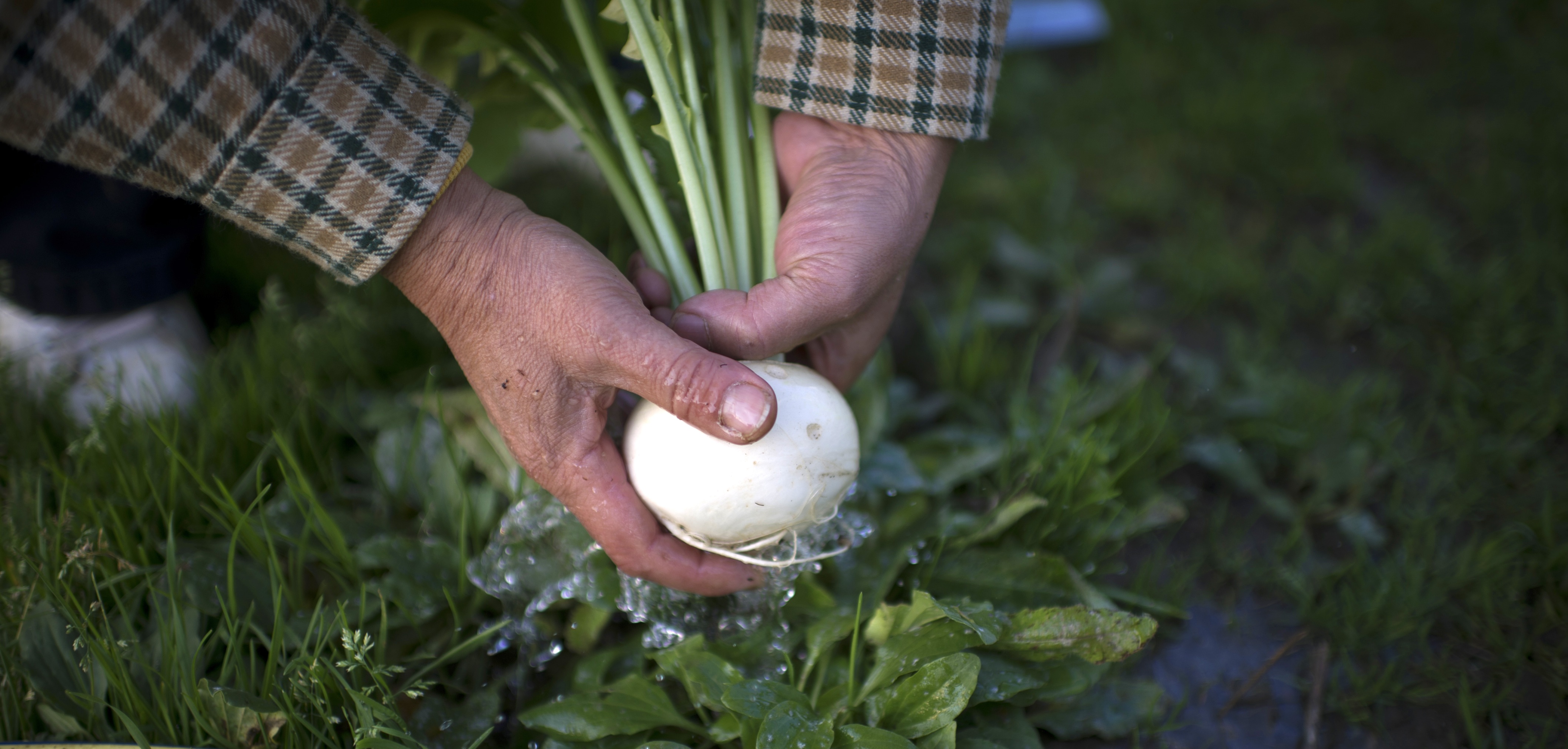 8 startups that leveraged products for social good, and where they’re headed in 2014